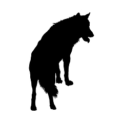 Image showing Wolf Silhouette