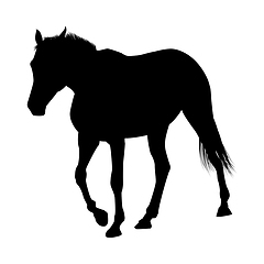 Image showing Horse Silhouette