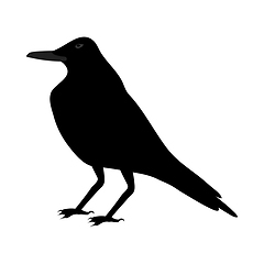 Image showing Black Crow 