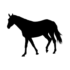 Image showing Horse Silhouette