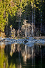 Image showing Forest trees on Frillensee (small lake near Eibsee), Germany