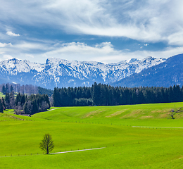 Image showing German idyllic pastoral countryside in spring with Alps in backg