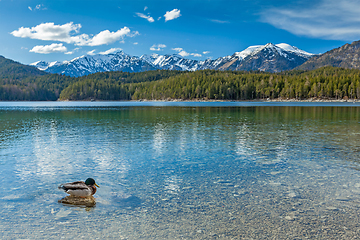 Image showing Eibsee lake, Germany