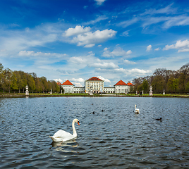 Image showing Swan and Nymphenburg Palace. Munich, Bavaria, Germany