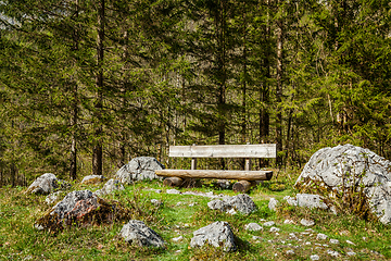 Image showing Lonely bench in forest