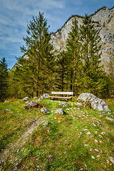 Image showing Lonely bench in forest