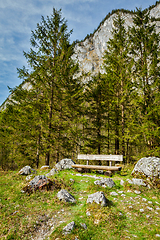 Image showing Lonely bench in forest