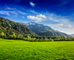 Image showing Alpine meadow in Bavaria, Germany