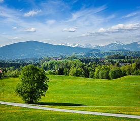 Image showing Road in pastoral countryside