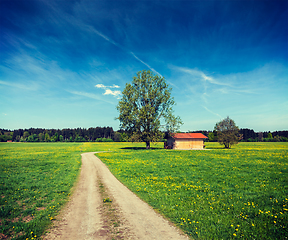 Image showing Summer meadow