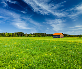 Image showing Summer meadow