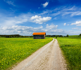 Image showing Summer meadow