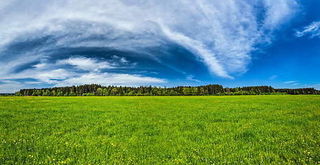 Image showing Summer meadow