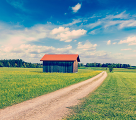 Image showing Summer meadow