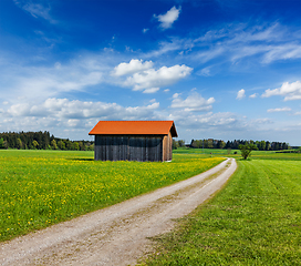 Image showing Summer meadow