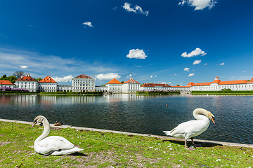 Image showing Swans in garden near the Nymphenburg Palace