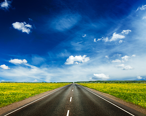 Image showing Road in blooming spring meadow