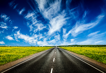 Image showing Road in blooming spring meadow