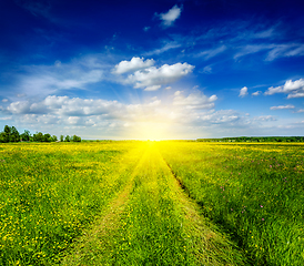 Image showing Spring summer - rural road in green field scenery\