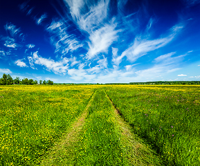 Image showing Spring summer rural road in green field landscape