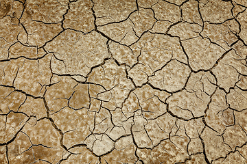 Image showing Cracked earth background texture