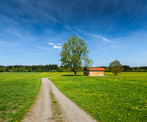 Image showing Summer meadow