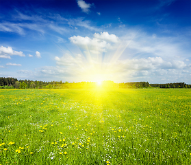 Image showing Summer meadow