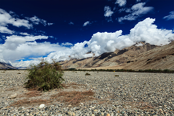 Image showing Nubra valley in Himalayas. Ladakh, India