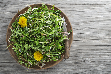 Image showing Dandelion plants