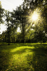 Image showing autumn landscape