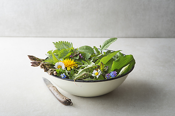 Image showing Spring herbs and plants