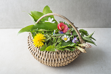 Image showing Spring herbs and plants