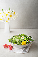 Image showing Spring herbs and plants