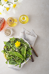 Image showing Spring herbs and plants