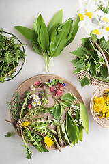 Image showing Spring herbs and plants