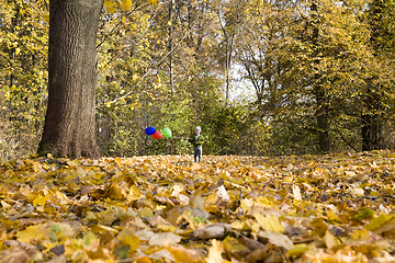 Image showing balloon and boy