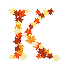 Image showing Autumn Maples Leaves Letter