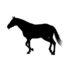 Image showing Horse Silhouette