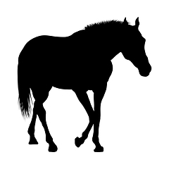 Image showing Horse Silhouette