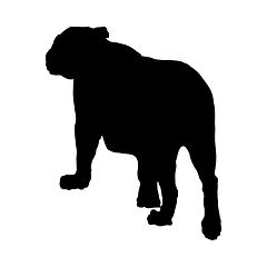 Image showing Lion Silhouette
