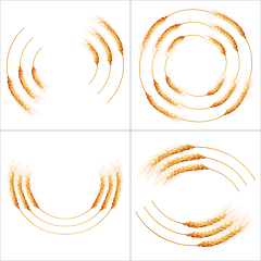 Image showing Set of 4 detailed Wheat ears. EPS 10