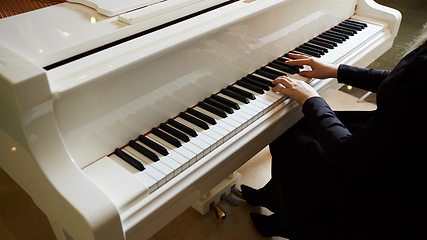 Image showing Womans hands on the keyboard of the piano closeup