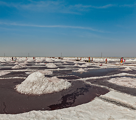 Image showing Salt mine at Sambhar Lake, Sambhar, Rajasthan, India