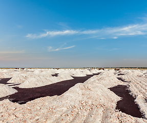 Image showing Salt mine at Sambhar Lake, Sambhar, Rajasthan, India