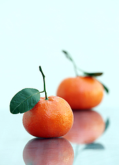 Image showing Two ripe tangerines