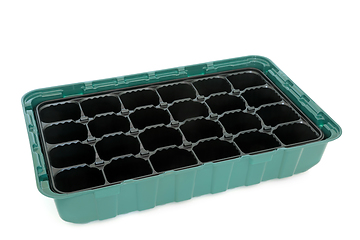 Image showing Seed Module Tray for Gardening 