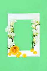 Image showing Rose and Freesia Flower Background Border Composition