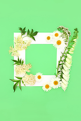 Image showing Wildflower Herbal Plant Medicine Background Frame