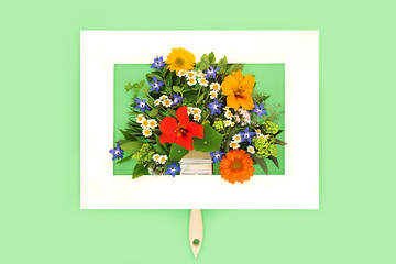 Image showing Paintbrush Painting with Flowers and Herbs in Picture Frame