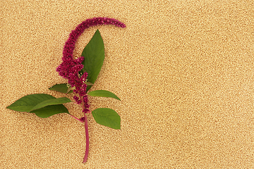 Image showing Amaranthus Plant and Healthy Seed Food